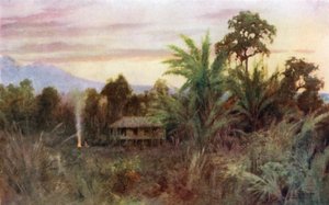 A Forest Tai by Robert George Talbot Kelly